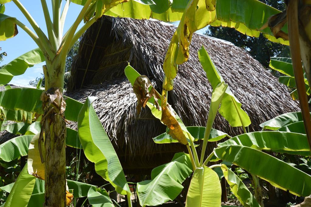 Samon Village Kampot Luaran gambar